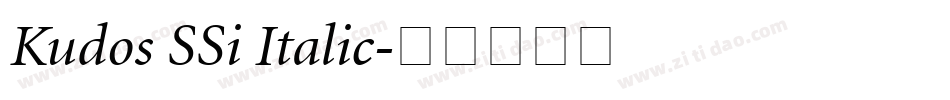 Kudos SSi Italic字体转换